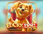 Lucky Dog